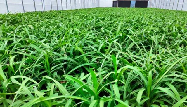 视频剪辑与后期制作的选型要点及适用场景分析
